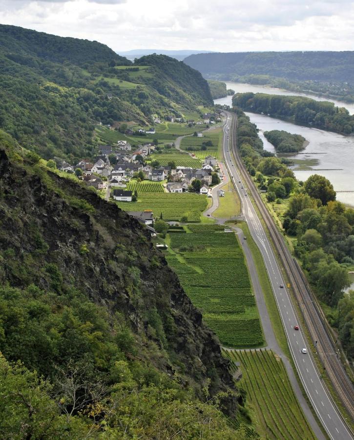Ferienwohnung Neli Am Rhein Rheinbrohl Extérieur photo