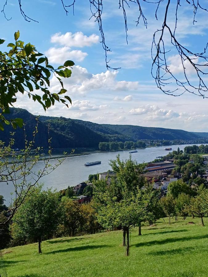 Ferienwohnung Neli Am Rhein Rheinbrohl Extérieur photo